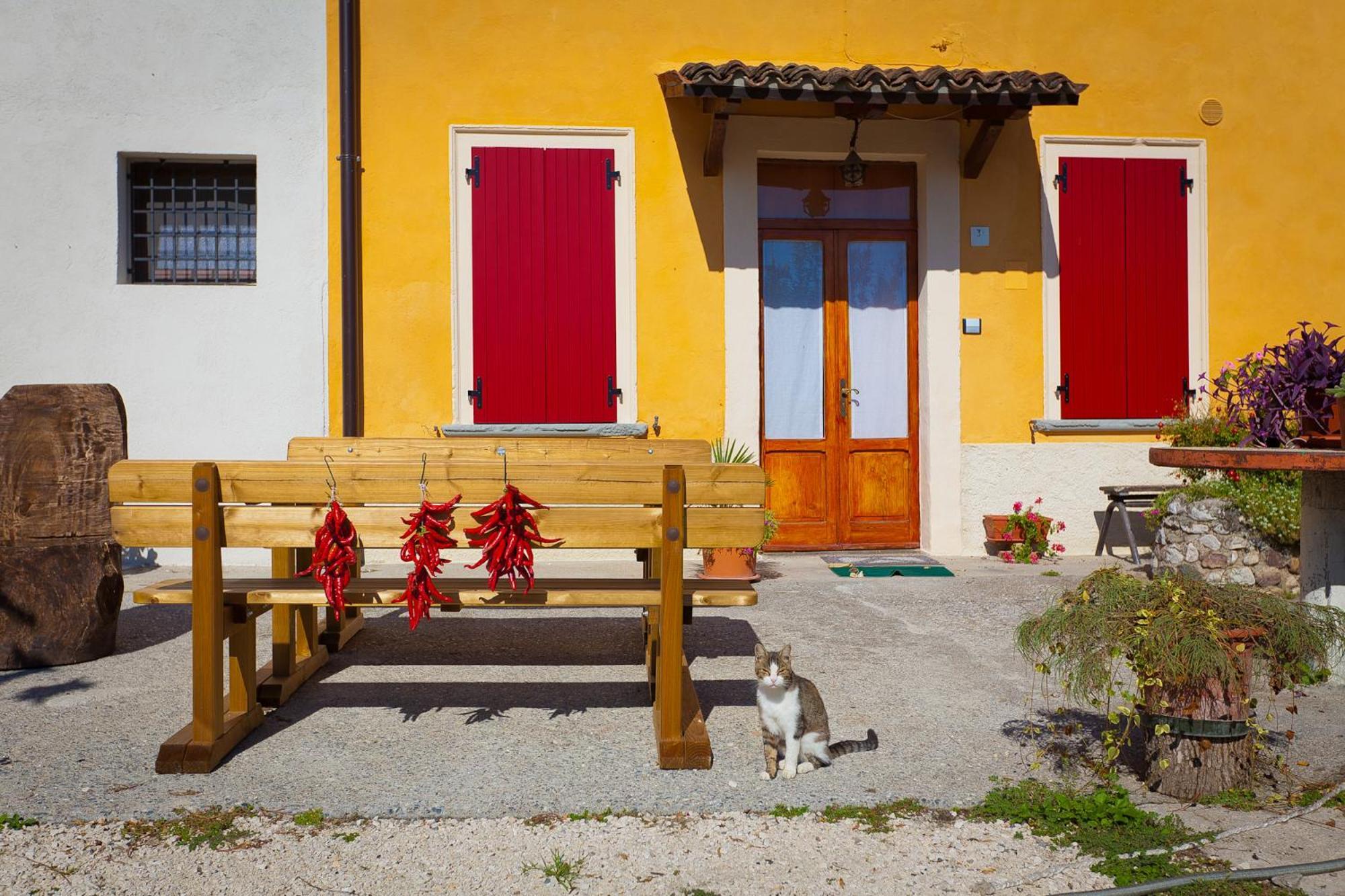 Agriturismo Con Cucina Tipica Nuova Scardua Cavriana Exterior photo